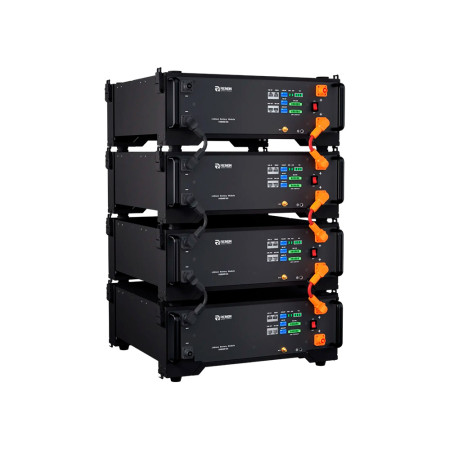 Литиевая аккумуляторная батарея Renon EBrick R-EB005161 51.2В 100А/ч